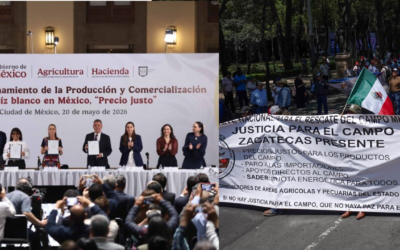 Sheinbaum presenta acuerdo de “precio justo” para el maíz en medio de protestas de agricultores
