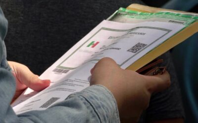 Gobierno pondrá leyenda de desaparición en CURP para evitar robo de identidad