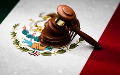 Reflexiones sobre la elección judicial, el libro para leer antes de la próxima reforma judicial
