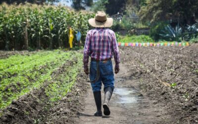 Inseguridad y crisis sanitaria debilitan al agro rumbo a revisión del T-MEC