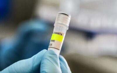 La Secretaría de Salud emite aviso epidemiológico por el brote multinacional de hantavirus