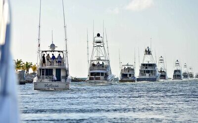 Más de 30 lanchas en “Cap Cana White Marlin Tournament 2026”