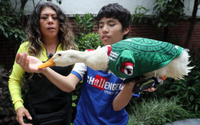 Poncho de Nigris ofrece jugosa oferta por el pato Merlín