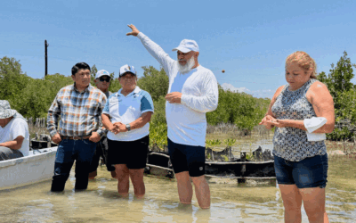 Mujeres de Chabihau, Yucatán, restauran manglares, fortalecen pesca y reducen vulnerabilidad ante clima