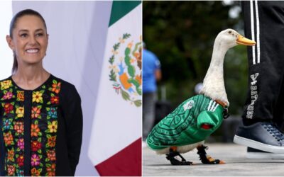 El pato “Merlín”, la mascota no oficial del Mundial invitada por Sheinbaum a la mañanera