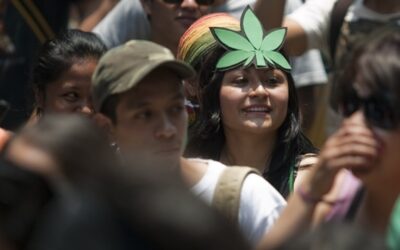 SCJN confirma que Cofepris puede dar un permiso a varias personas para consumo recreativo de marihuana