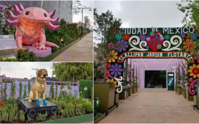 Con fuentes y esculturas, Gobierno de CDMX inaugura el Parque Elevado Tlallipan