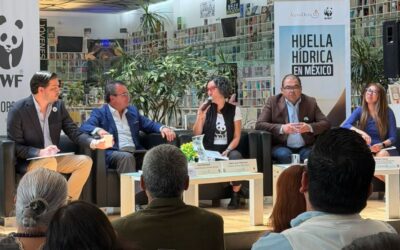 El consumo de agua en México creció 16.4% en 12 años; el campo usa 75.5%