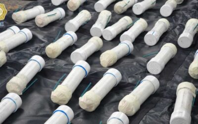 Autoridades hallan 59 artefactos explosivos en camiones en los que viajaban estudiantes y maestros de la CNTE