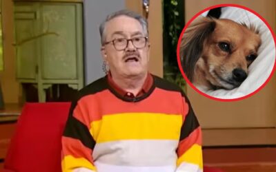 Tunden a Pedro Sola por comentario cruel contra los perros