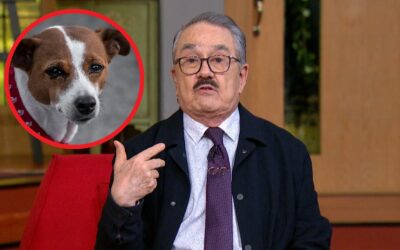 ¿Disculpas falsas? Reviven video donde Pedro Sola pide cortar cuerdas vocales a perros