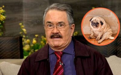 Exigen sancionar a Pedro Sola por comentarios sobre perros; petición supera 150 mil firmas