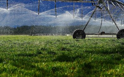 Las exportaciones de México también se llevan el agua del país y suman presión a la crisis hídrica