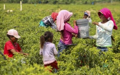 El verdadero rostro del trabajo infantil es la pobreza que preferimos no mirar