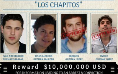Del fentanilo al huachicol de agua: «Los Chapitos» extienden actividades criminales