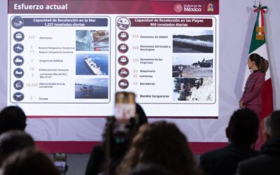Gobierno destinará 2,000 mdp para elevar a 4,000 toneladas la recolección de sargazo