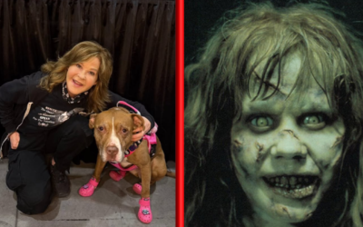 Investigan a actriz de El Exorcista por irregularidades en refugio de más de 100 perros