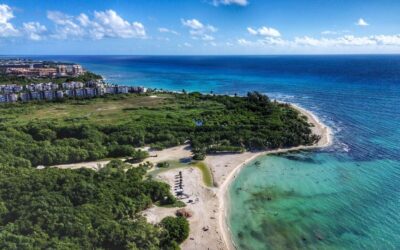 Cofepris descarta presencia de Cyclospora en hoteles de la Riviera Maya tras alerta del Reino Unido