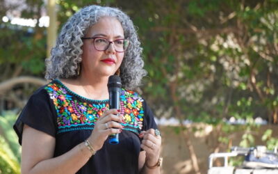 Congreso de Sinaloa designa a Graciela Domínguez Nava como relevo de Rocha Moya