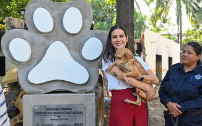 Rosi Bayardo: de animalista y empresaria a figura de Morena en Colima