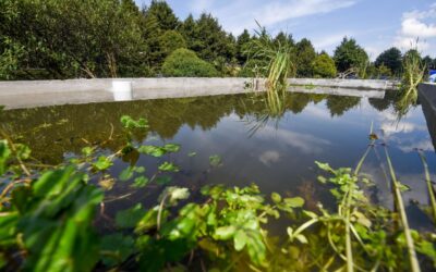 Gobierno va por reforma a la ley ambiental para enfrentar cambio climático y pérdida de biodiversidad