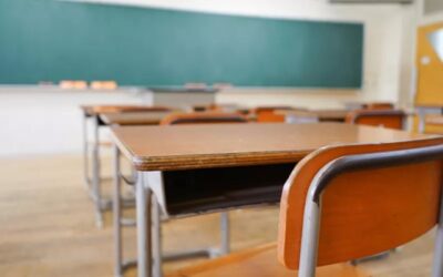 Feminicidio de Dafne Zapata evidenció la falta de supervisión de escuelas privadas, advierte la ODI