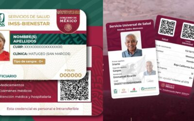 Credencial Única de Salud vs. IMSS-Bienestar: estas son las diferencias y los beneficios de cada tarjeta
