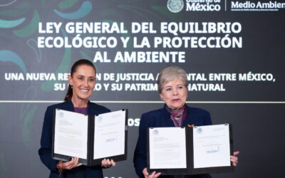 Gobierno presenta reforma a la ley ambiental para enfrentar cambio climático y pérdida de biodiversidad
