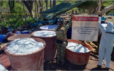 Golpe al narco: aseguran 16 toneladas de droga y desmantelan segundo laboratorio más grande del sexenio