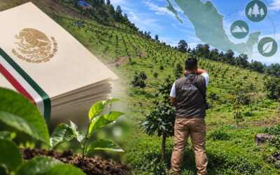 Más hectáreas, menos dinero: el proyecto de presupuesto 2027 pone bajo presión las áreas naturales protegidas