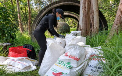 Chapultepec: Así busca el bosque más grande de CDMX combatir su basura