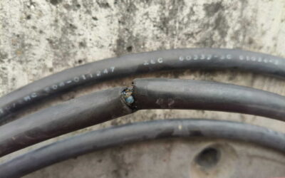 Daño a cable de fibra óptica causa caos en Línea 12; Metro presenta denuncia por la interrupción