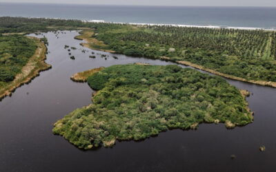 Manzanillo busca expandir su puerto… pero pescadores y salineros de Cuyutlán temen perder su sustento