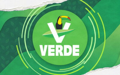 El gran ganador de la alianza: Cómo el PVEM multiplicó sus votos, curules y presupuesto junto a Morena