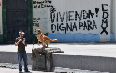 Rentar en CDMX tendrá nuevas reglas: no a la discriminación por hijos o mascotas, ni aumentos desmedidos