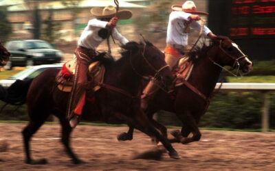 Carreras de caballos, gas y campañas electorales: así opera la red ligada al Cártel del Noreste