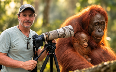 Un mexicano fue tras los orangutanes de Indonesia y volvió con una lección de la selva