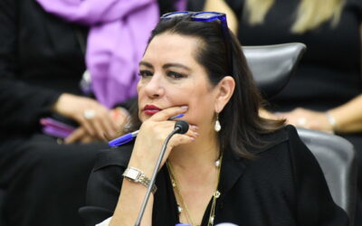 Guadalupe Taddei: quiénes pueden ocupar su lugar tras renunciar a la presidencia del INE