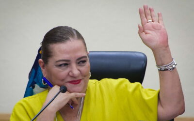 Los “superpoderes” otorgados por Morena a Taddei debilitaron los contrapesos internos en el INE