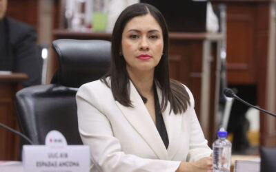 Blanca Cruz García, presidenta interina del INE, fue señalada por su cercanía con el grupo de Taddei