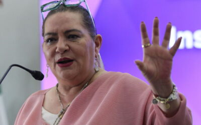 Diputados inician proceso para relevar a Guadalupe Taddei en el INE