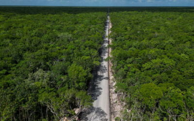 Semarnat descarta turismo urbano en Sian Ka’an, pero comunidades piden certeza y reparación ambiental