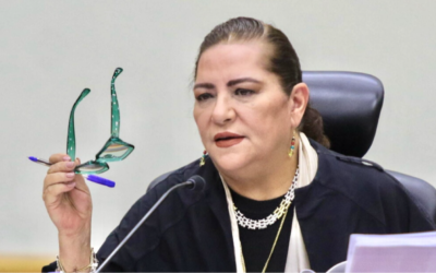 Escándalo en el INE: esto es lo que se sabe sobre el caso del chofer de Guadalupe Taddei