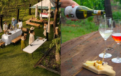 Qué hacer en Cava 57, uno de los mejores viñedos de Querétaro