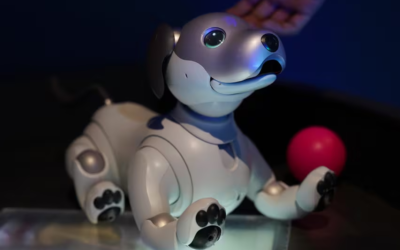 Perro robot causa sensación en el Museo Franz Mayer