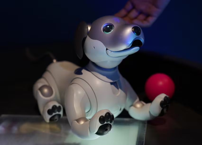 Perro robot causa sensación en el Museo Franz Mayer